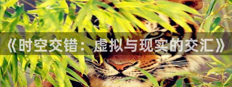 国产99视频在线观看：《时空交错：虚拟与现实的交汇》