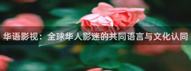 99视频这里精品