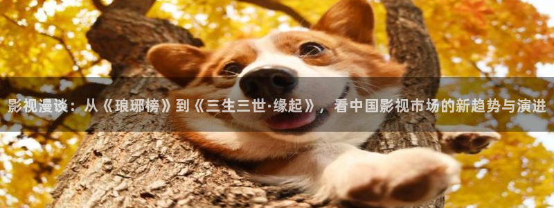 99视频导航