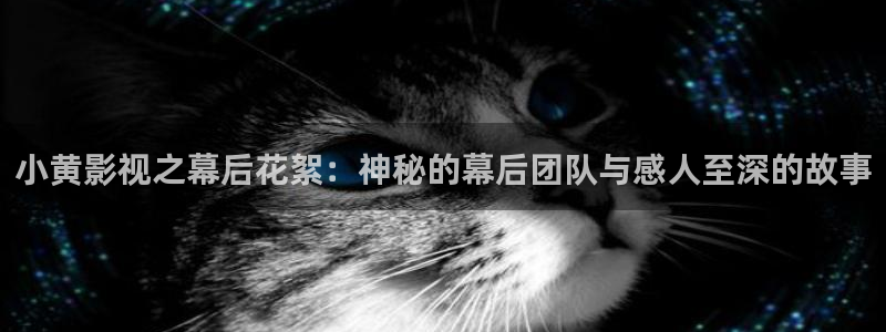 99视频在线观看视频在线观看：小黄影视之幕后花絮：神秘的幕后团队与感人至深的故事