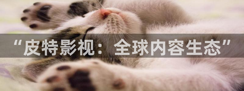 99视频偷拍：“皮特影视：全球内容生态”