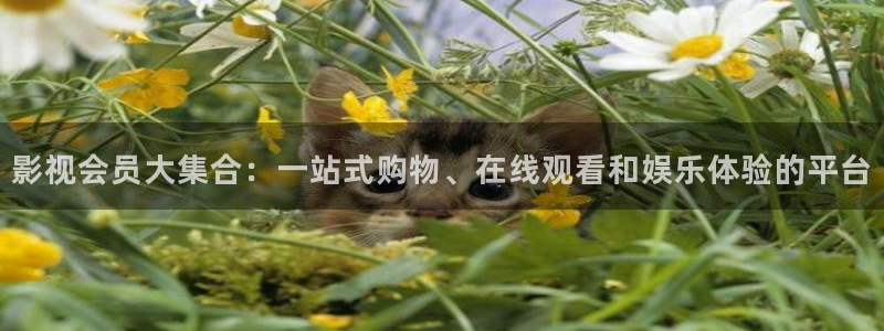 99视频地址：影视会员大集合：一站式购物、在线观看和娱乐体验的平台