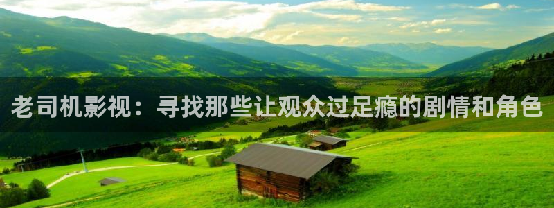 蜜桃99视频网站：老司机影视：寻找那些让观众过足瘾的剧情和角色